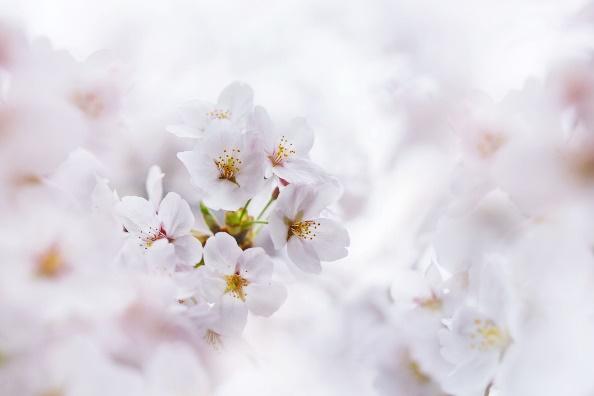 Wellness Tree ジャーナル vol.41 日常生活のお話