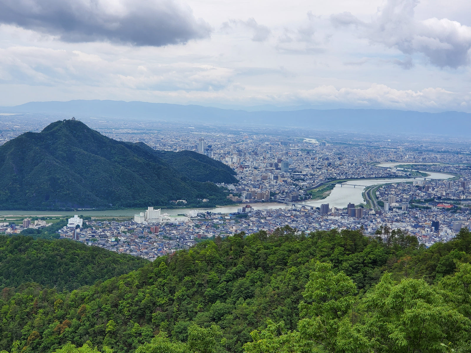 Wellness Tree ジャーナル vol.33 長良川とやさしさの森