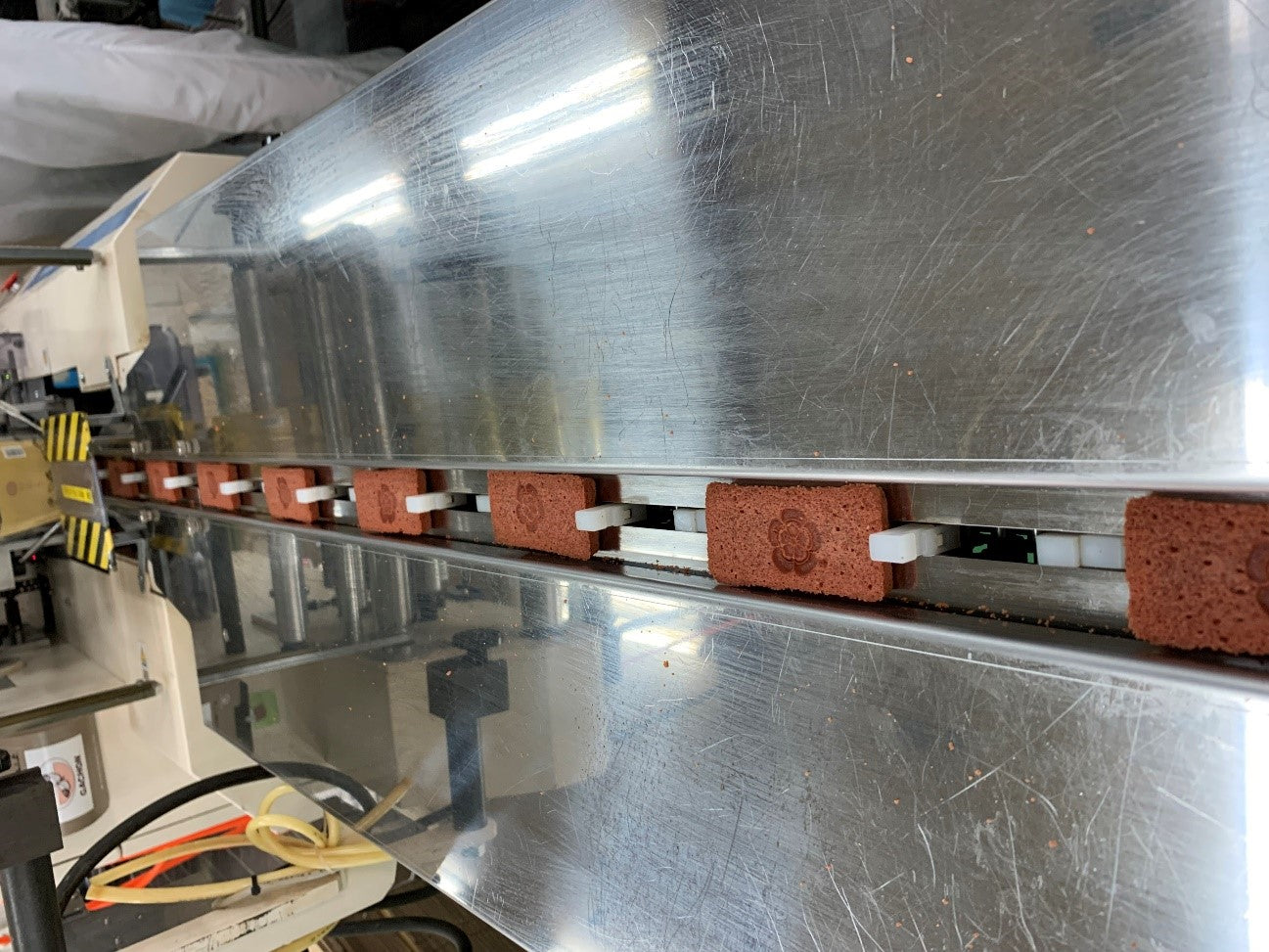 Wellness Tree ジャーナル vol.43 愛情いっぱいの母の手料理