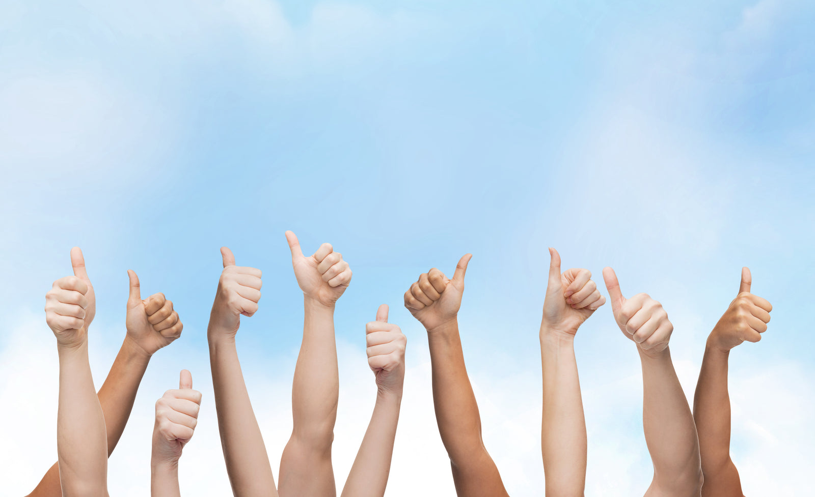 Wellness Tree ジャーナル vol.4ソイコンセプト仕込み日記