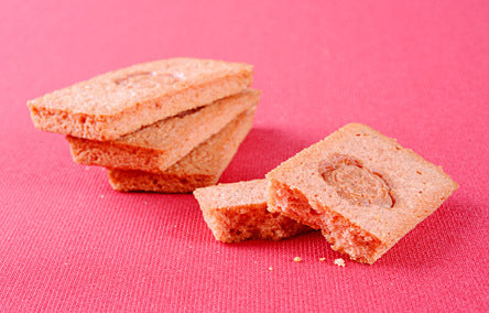 Wellness Tree ジャーナル vol.30 孫の成長