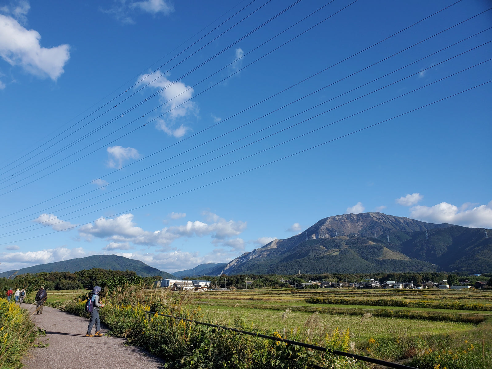 Wellness Tree ジャーナル vol.18 ウォーキングイベント