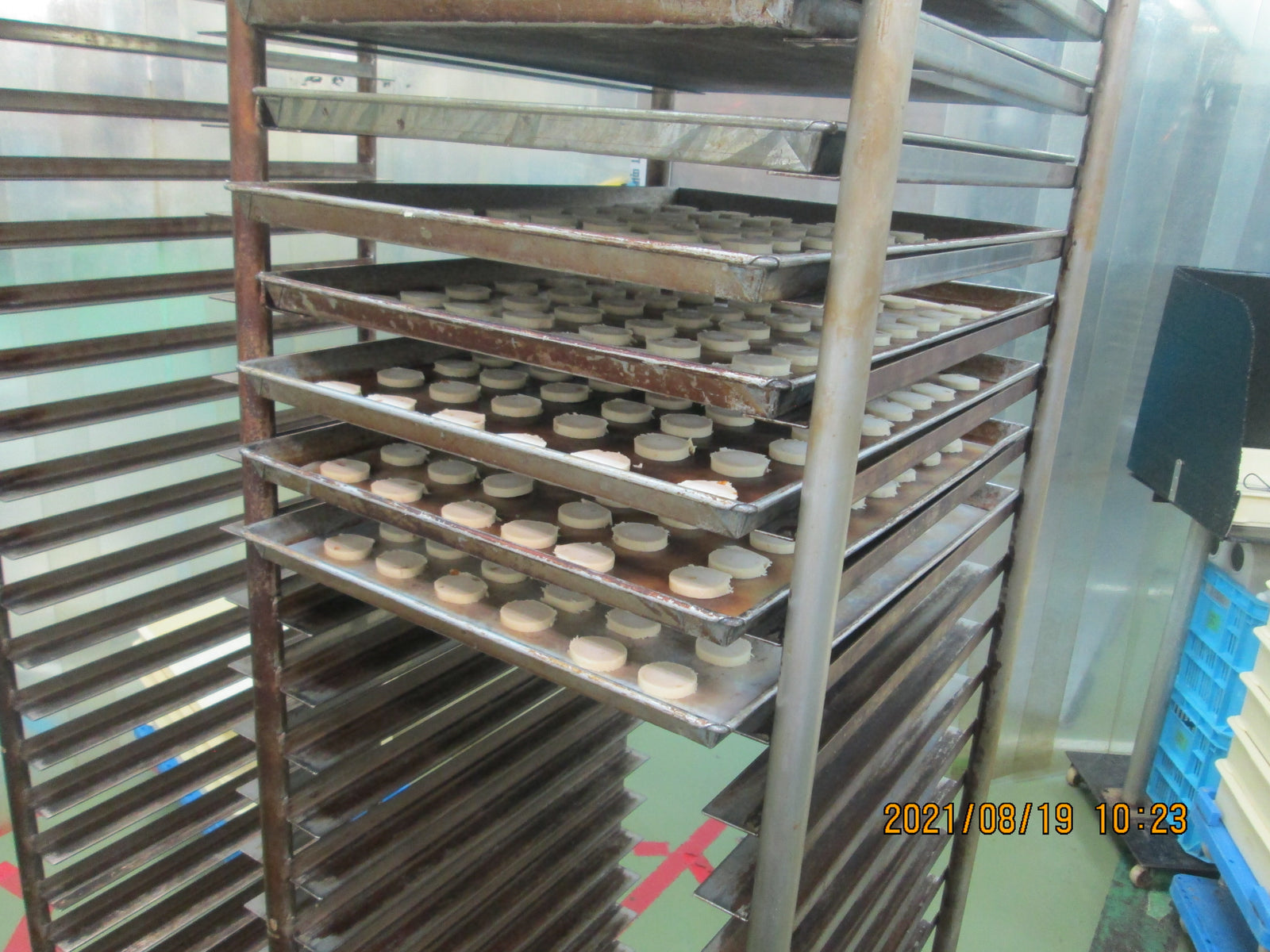 Wellness Tree ジャーナル vol.8 自己紹介