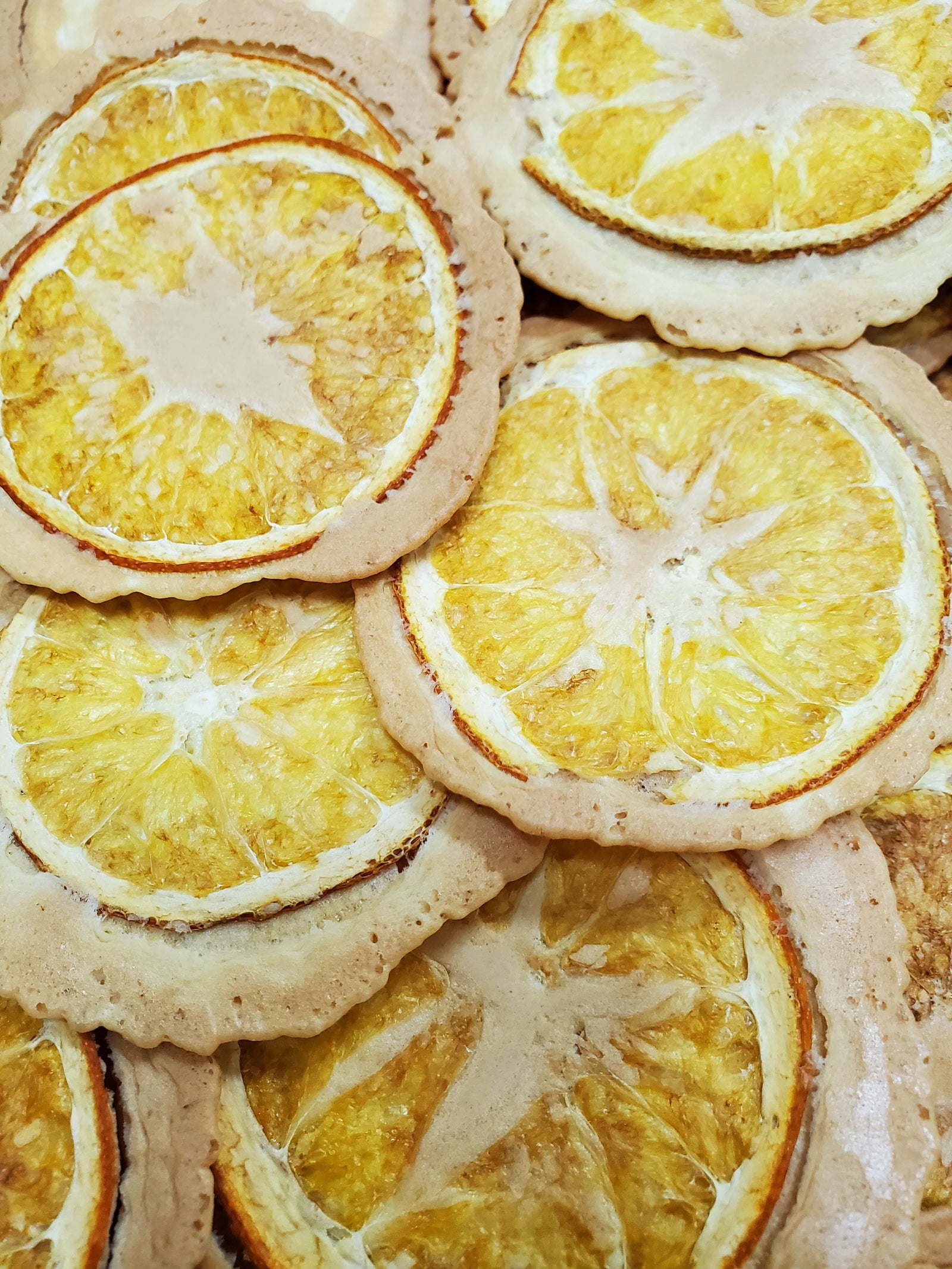 Wellness Tree ジャーナル vol.9 風