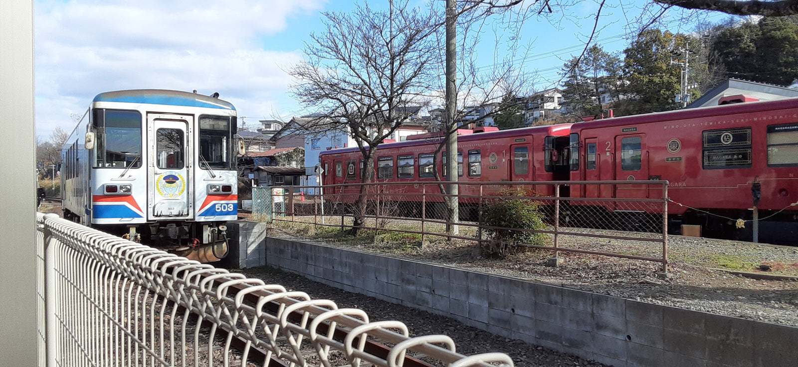 Wellness Tree ジャーナル vol.14 私の気分転換