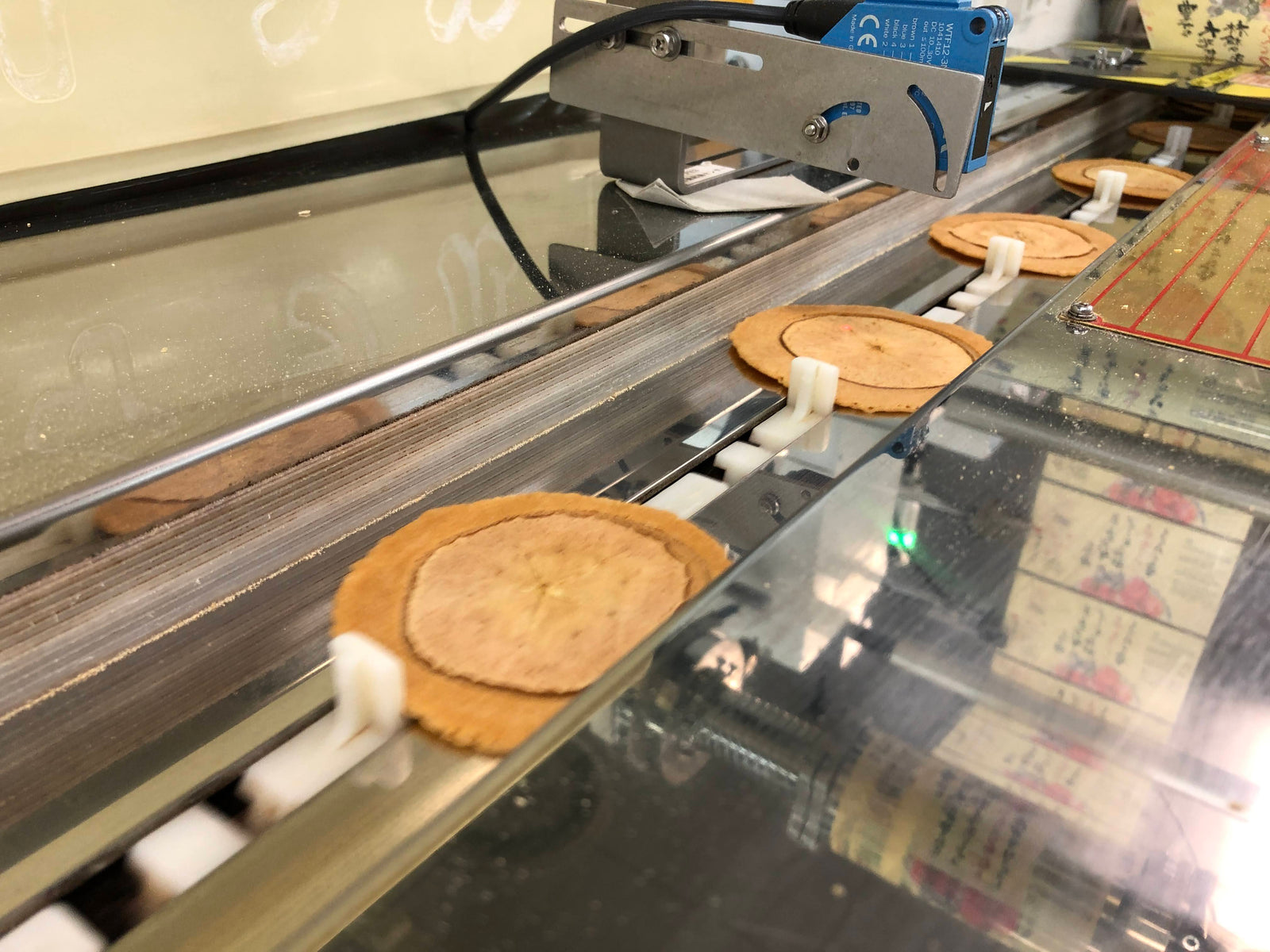 Wellness Tree ジャーナル vol.16 長良園での30年間