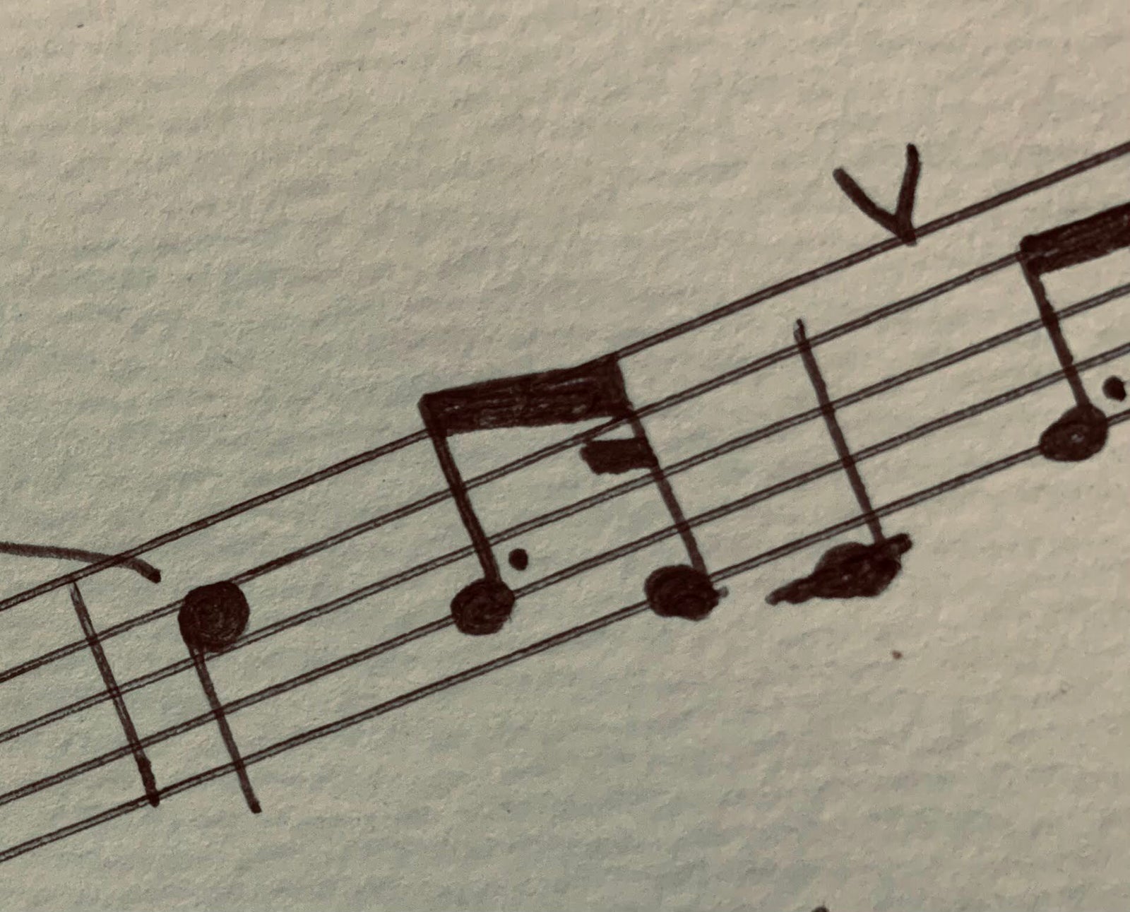 Wellness Tree ジャーナル vol.17 忘れられない出来事