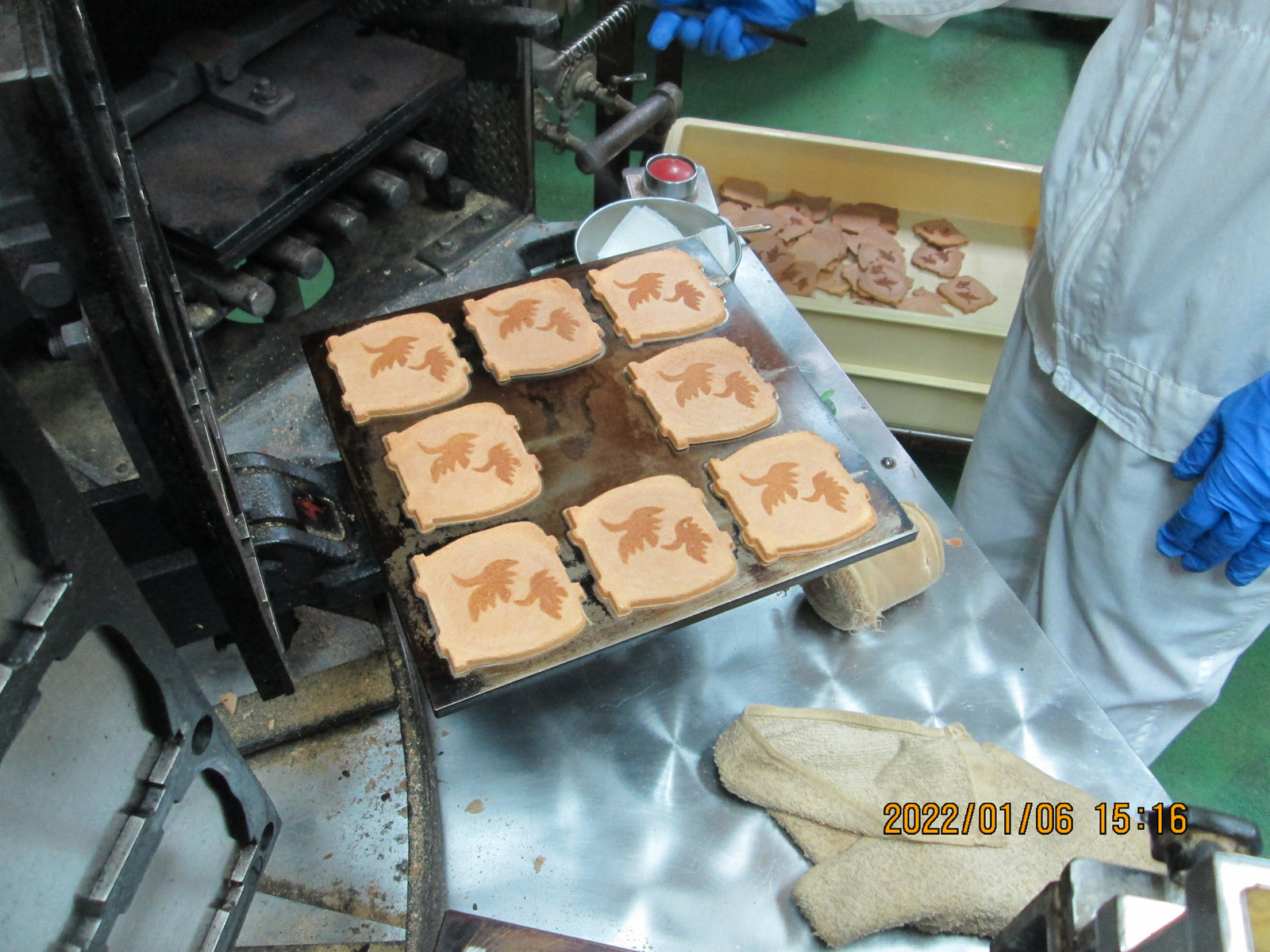 Wellness Tree ジャーナル vol.25 1年の振り返り