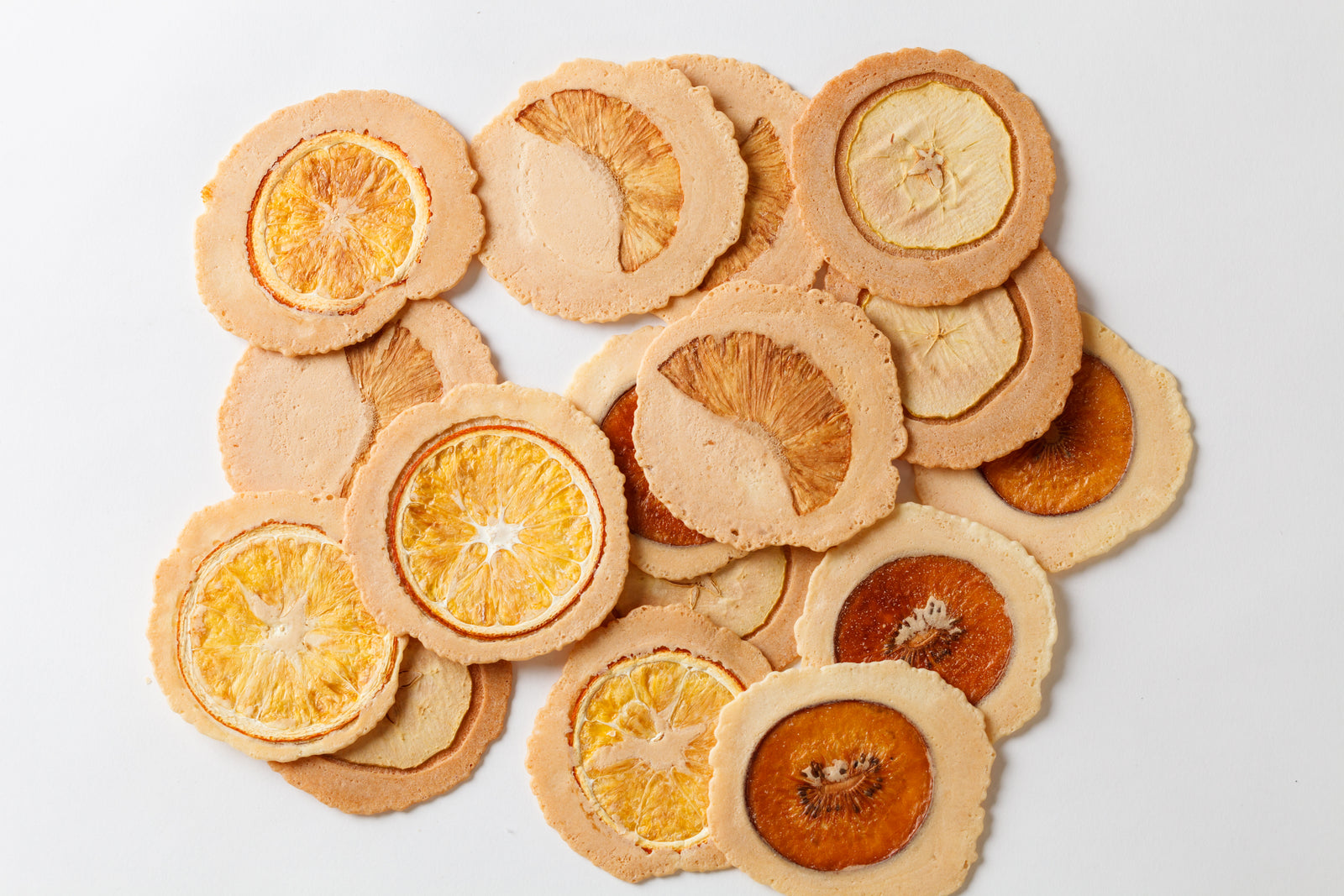 Wellness Tree ジャーナル vol.48 「SDGｓ」かな？