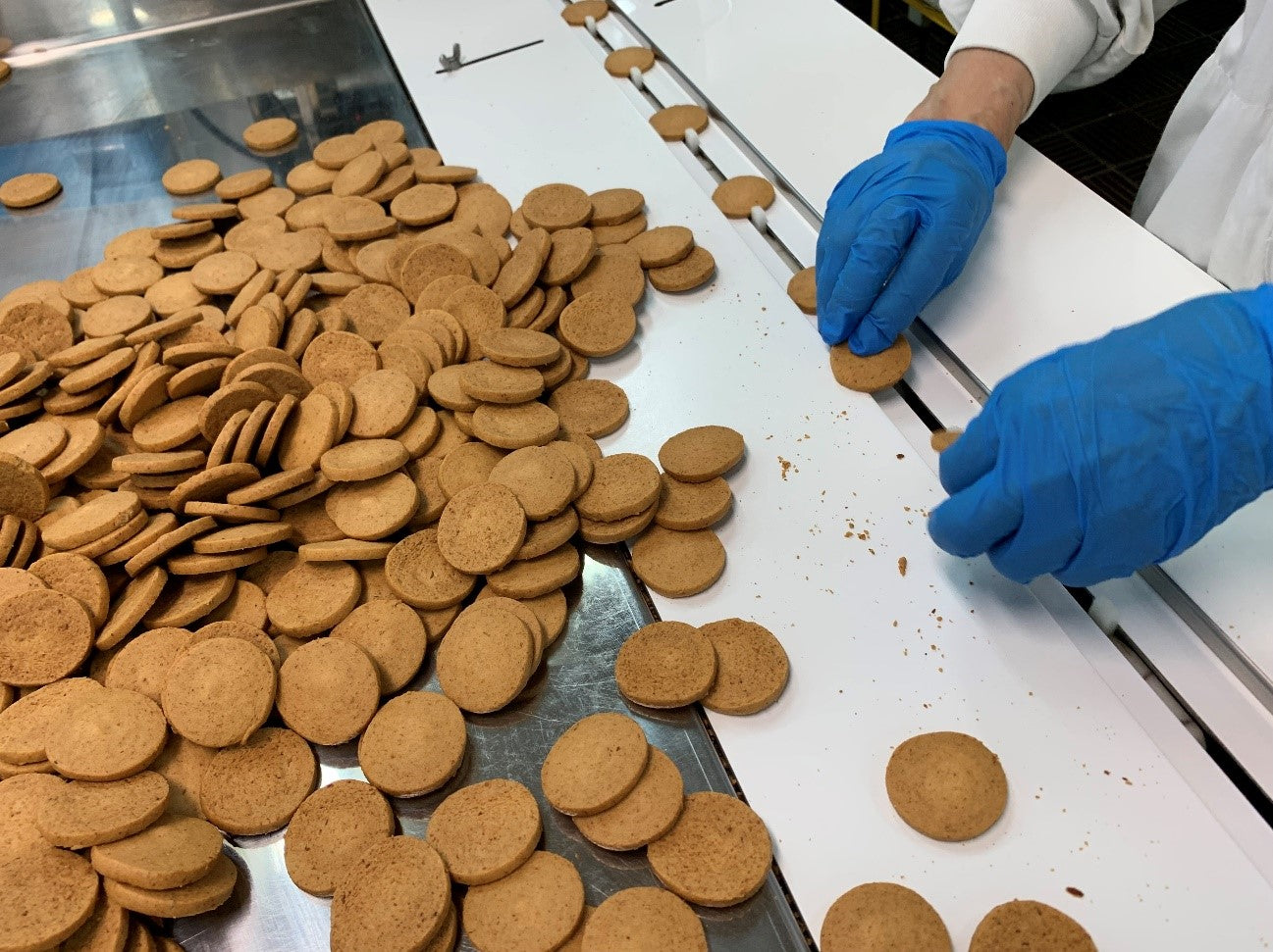 Wellness Tree ジャーナル vol.51 暑い中も頑張ろう