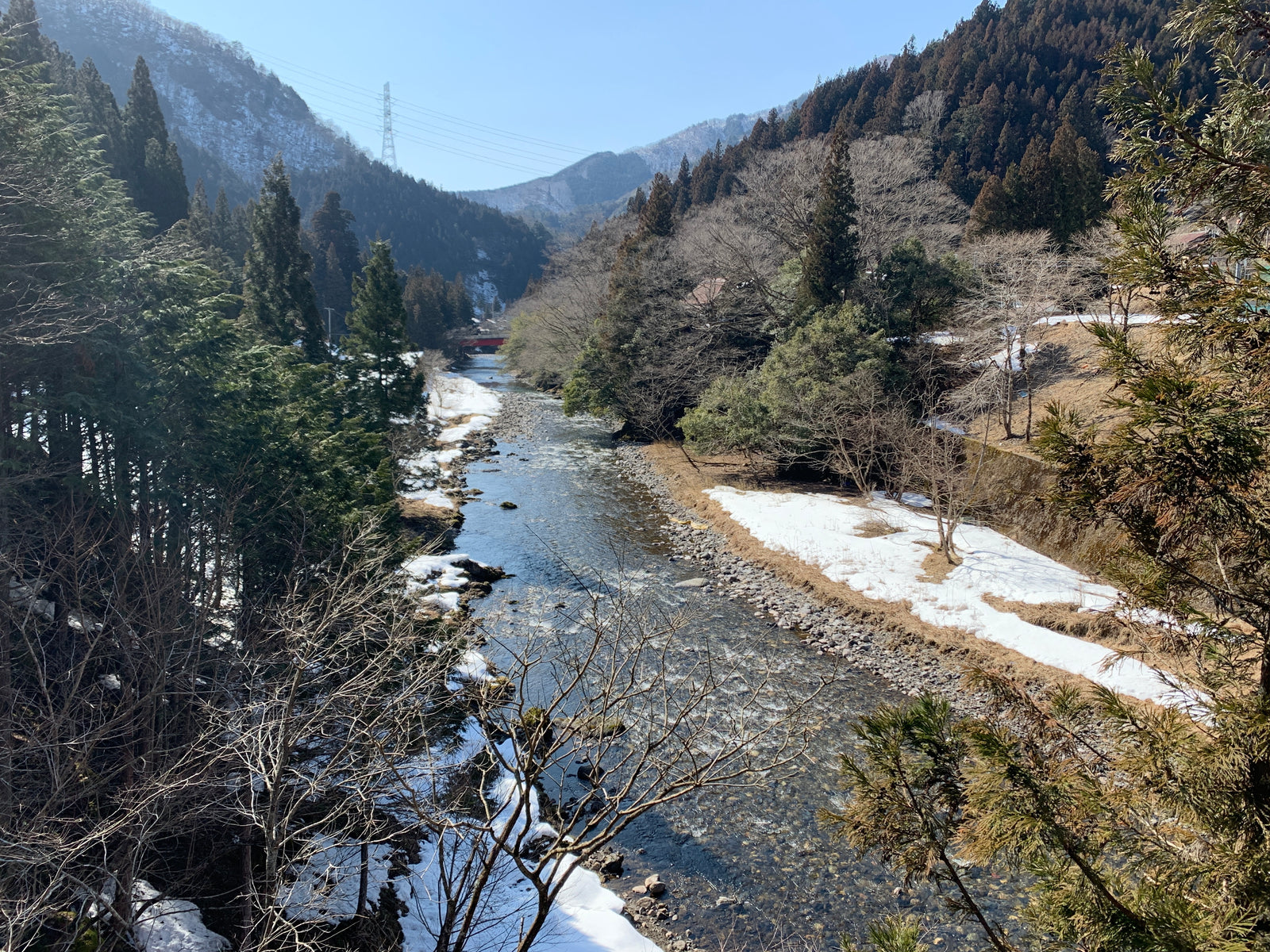 Wellness Tree ジャーナル vol.36 友