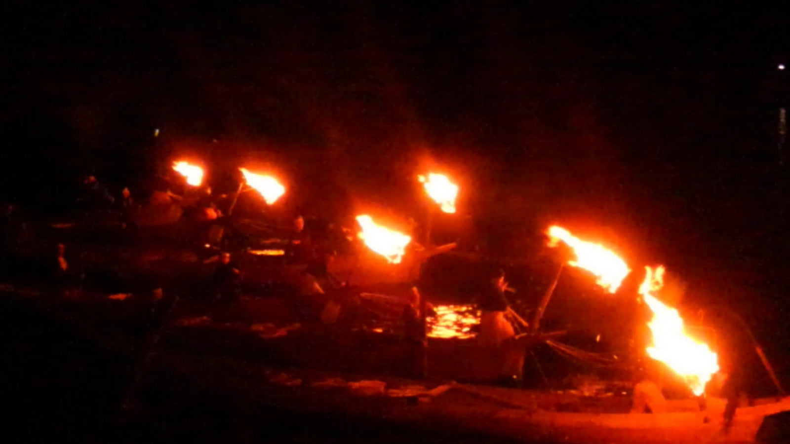 Wellness Tree ジャーナル vol.15 2021年 長良川 鵜飼最終日