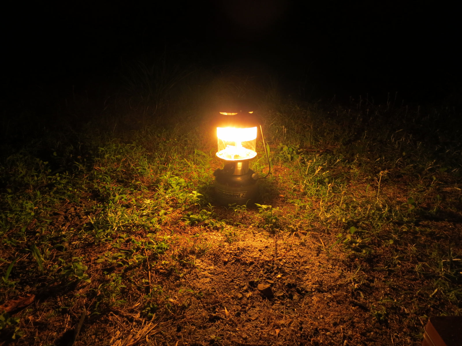 Wellness Tree ジャーナル vol.6 贅沢とは・・・