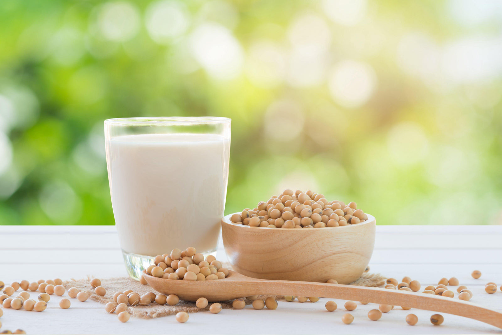 健康・美容効果が満載！今大注目の成分「エクオール」のつくり方とは？ - Wellness Tree