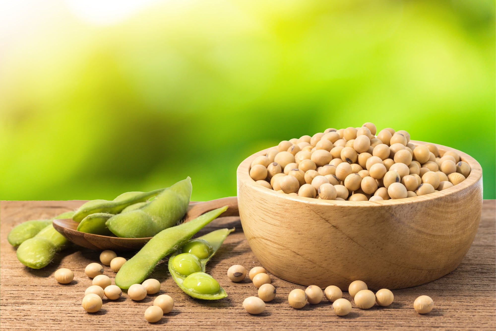 枝豆と大豆の違いって何？カロリー・栄養成分の比較と美味しい選び方