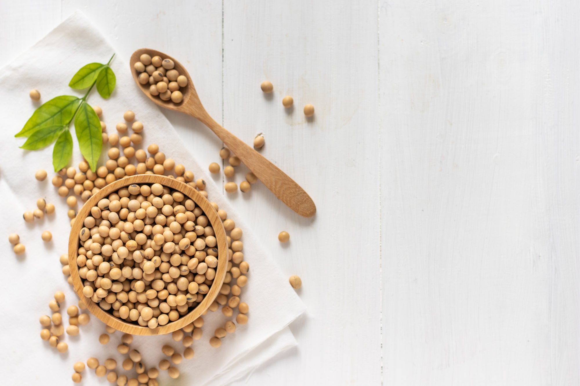 スーパーフード「大豆」の栄養成分と効果！加工方法別の栄養素を比較