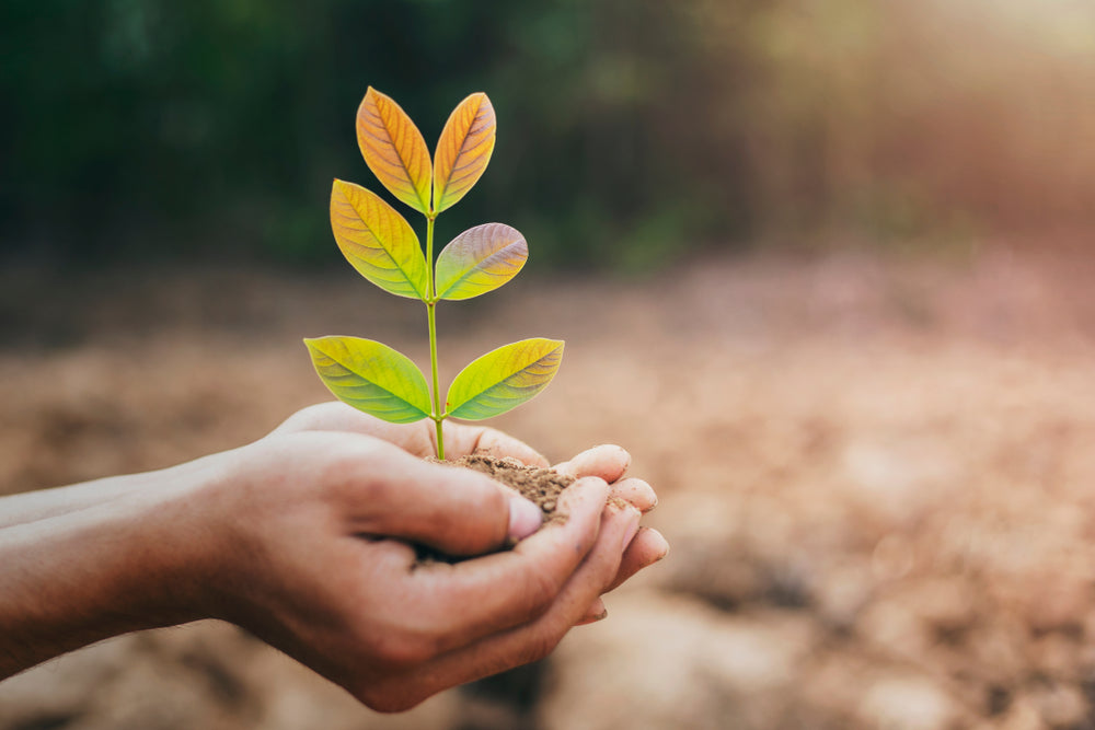 フェアトレードとエシカル消費の違い【わかりやすく解説】意味・認証マーク・監査基準など